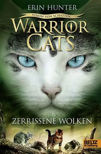 Warrior cats vision - vision, von