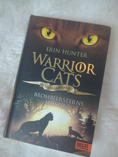 Warrior cats special - cats,