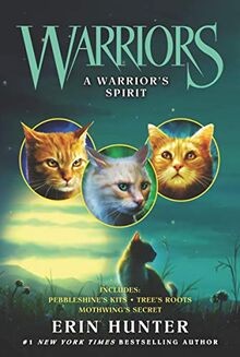 Warriors warrior s spirit - a,