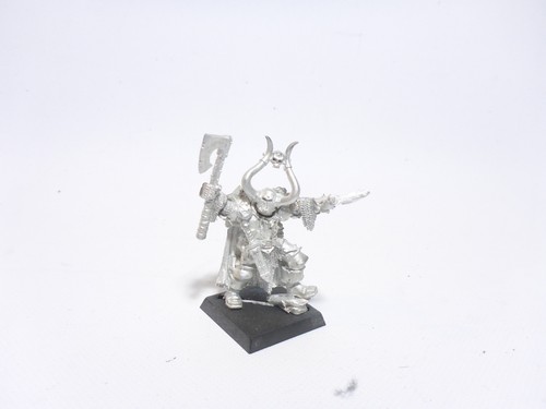 Warriors chaos champion - warriors,